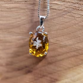 The Winter Village item