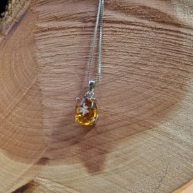 The Winter Village item