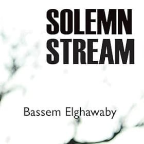 SOLEMN STREAM: A Poetic Journey through Faith and Bipolar item