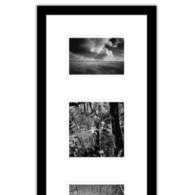 Clyde Butcher Everglades Living Flow Triptych item