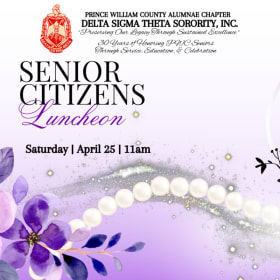 Senior Citizens ticket item