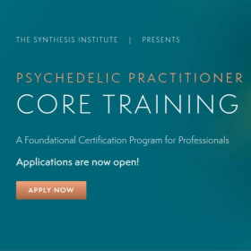 Synthesis Psychedelic Practitioners Core Training: item