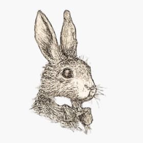 The White Rabbit - Bar Sponsor item
