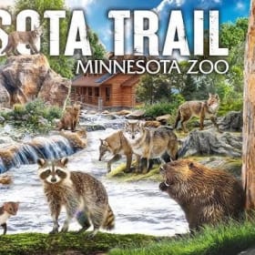 FOUR Minnesota Tickets item