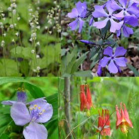 PART SUN TO PART SHADE KIT (16 plugs) item