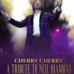 Historic Ritz Theater Tickets - July 31st - Tribute to Neil item