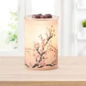 Lot #18 Scentsy Blossom item