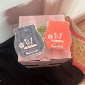 Lot #18 Scentsy Blossom item
