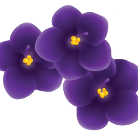 Violet item