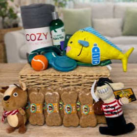 #28 🐾 Paws & Play Pet Basket item