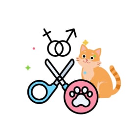 Spay/Neuter Sponsor item