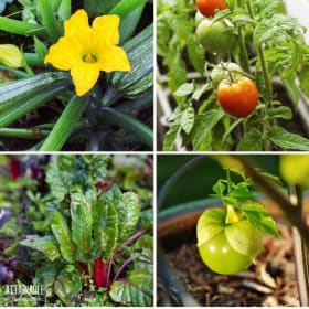 Vegetables (4 in.) item