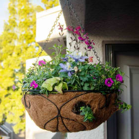 Coco Hanging Basket With Mixed Flowers item