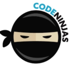 Code Ninja item