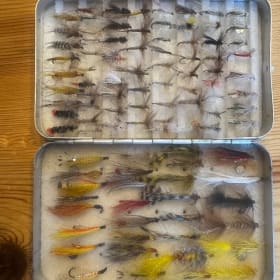 Perrine Fly Box and assortment of flies item