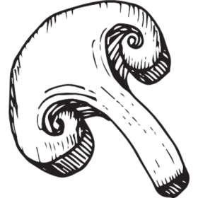 Place réservée item