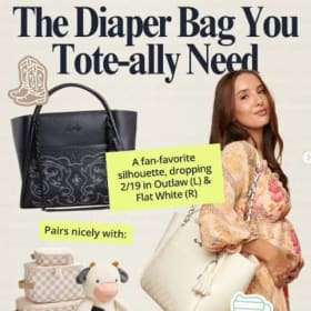 $250 Itzy Ritzy Gift Card item