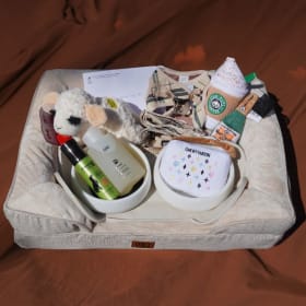 Pampered Pup Package item