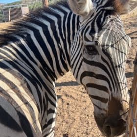 Member for the Day – Adult (ages 13+) item