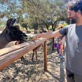 Add-on: Private Guided Tour item