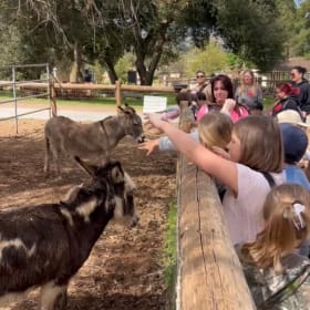 Add-on: Guided Tour Extra Guest item