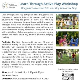 Learn through Active play? item
