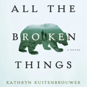 All the Broken Things item