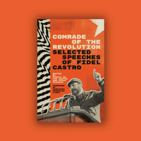 Comrade of the Revolution item