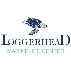 Ocean Conservation Circle item