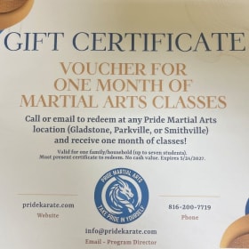 One month of Martial Arts classes (Copy) item