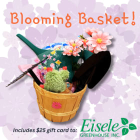 Blooming Basket item