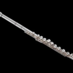 41) Flute Lessons by high school students item