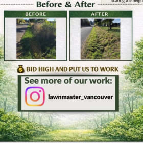 Two Hours of Yard Work from this two person team item