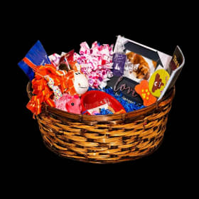 Paw-some Dog Lover Gift Basket item