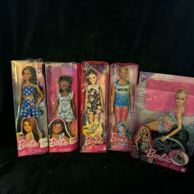 Barbie Inspires: Inclusion & Diversity Collection item