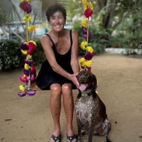 Pups in Paradise Portrait Session and "VW Bug" item