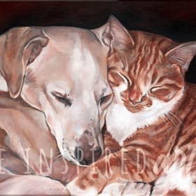 8 x 10 Pet Portrait Gift Certificate item