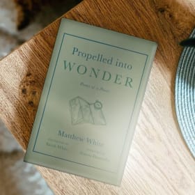 Poetry Bundle: Pete Davies & Matthew White item