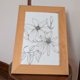 Illustration encre sur papier encadrée par Meg Hanna item