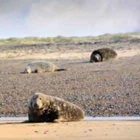 Private guided tour of Cobra Mist and Orford Ness item