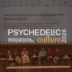 3 Day Ticket Psychedelic Culture 2027 for 2 item