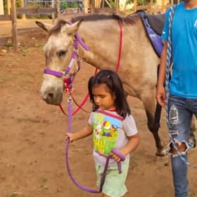 The Seahorse Sanctuary Equine Therapy item
