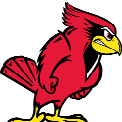 Lot #77 Illinois State Redbirds item