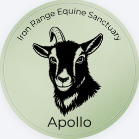 Circle Apollo Magnet item