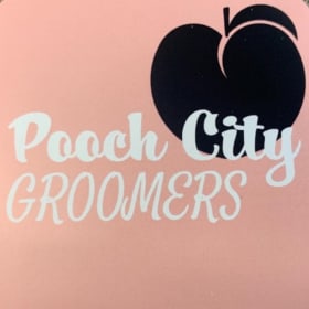$75 Small Dog Grooming – Peach City Grooming (Penticton) item