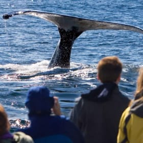 City Cruises Tickets (2) item