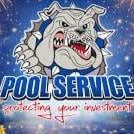 One Month of Weekly Pool Service item