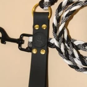 Cruella Leash item