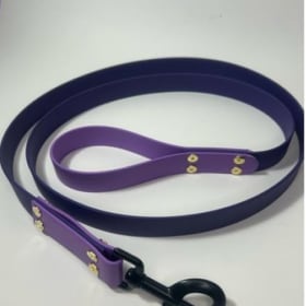 Améthyste Leash item