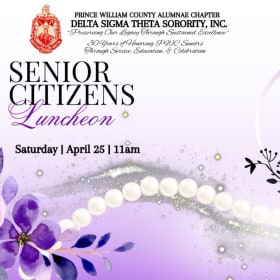 Senior Citizens ticket item